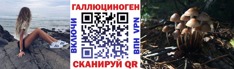 Галлюциногенные грибы Psilocybe где купить наркотик Сортавала
